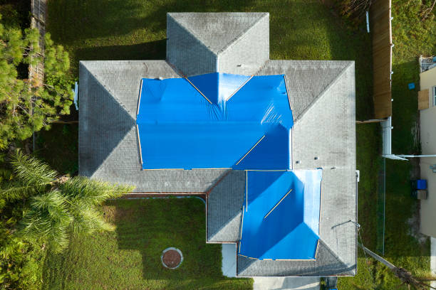 Best Metal Roofing Installation  in Laguna Woods, CA