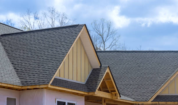 Best Roof Maintenance and Cleaning  in Laguna Woods, CA